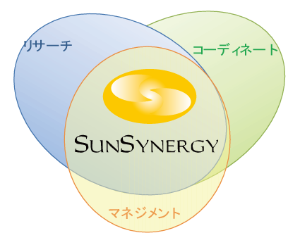 Sun Synergyイメージ